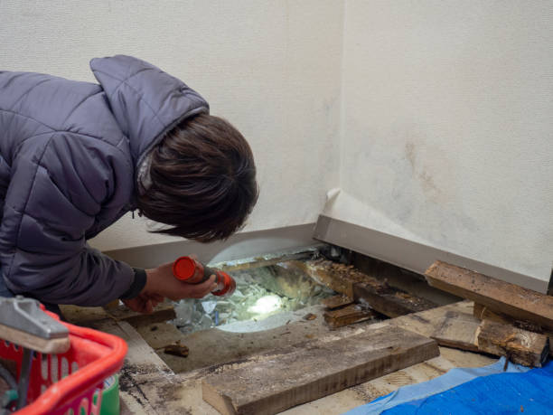Best Asbestos and Lead Testing During Mold Inspection  in Eudora, KS