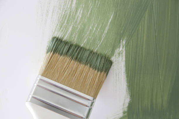 Reliable Eudora, KS Mold Removal Solutions