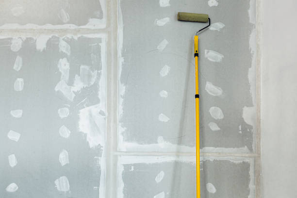 Best Dehumidification Services  in Eudora, KS
