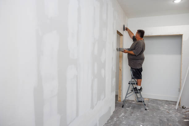 Best Industrial Mold Remediation  in Eudora, KS
