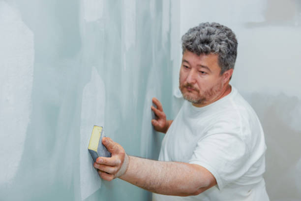 Best Mold Damage Restoration  in Eudora, KS