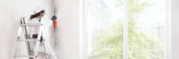 Best Biohazard Mold Removal  in Eudora, KS