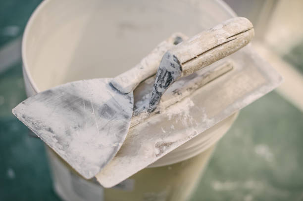 Forensic Mold Investigation in Eudora, KS