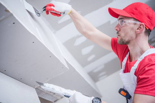 Dehumidification Services in Eudora, KS